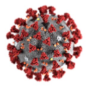 Coronavirus-CDC-645x645-statnews-300x300